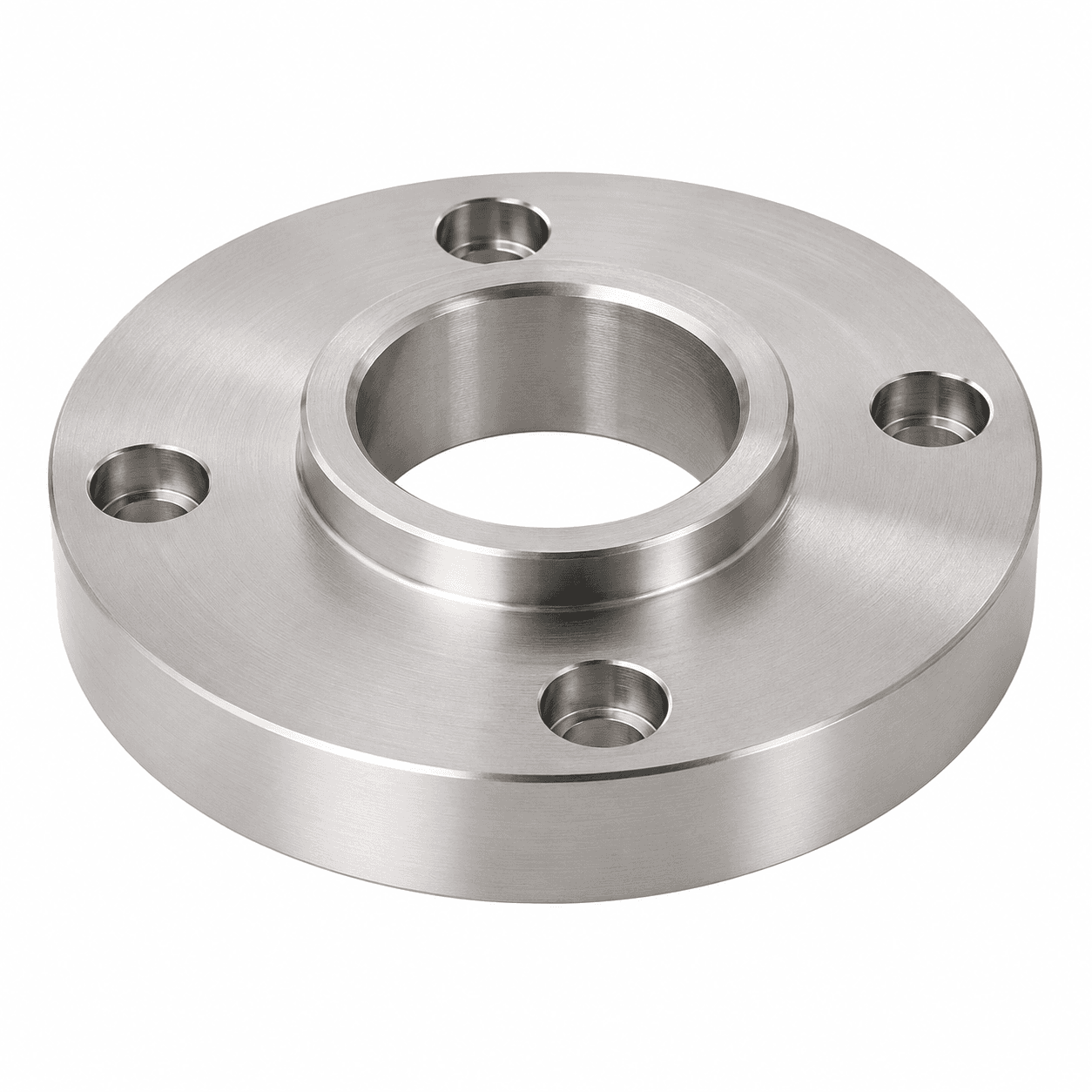 SS 4-Hole Standard Flange Disc