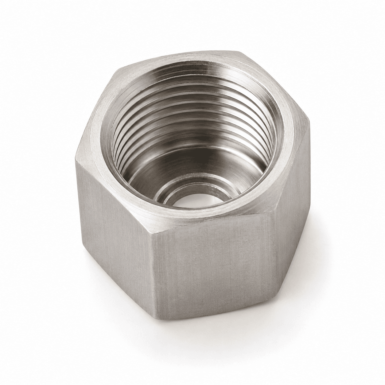 SS Hex Cap Nut