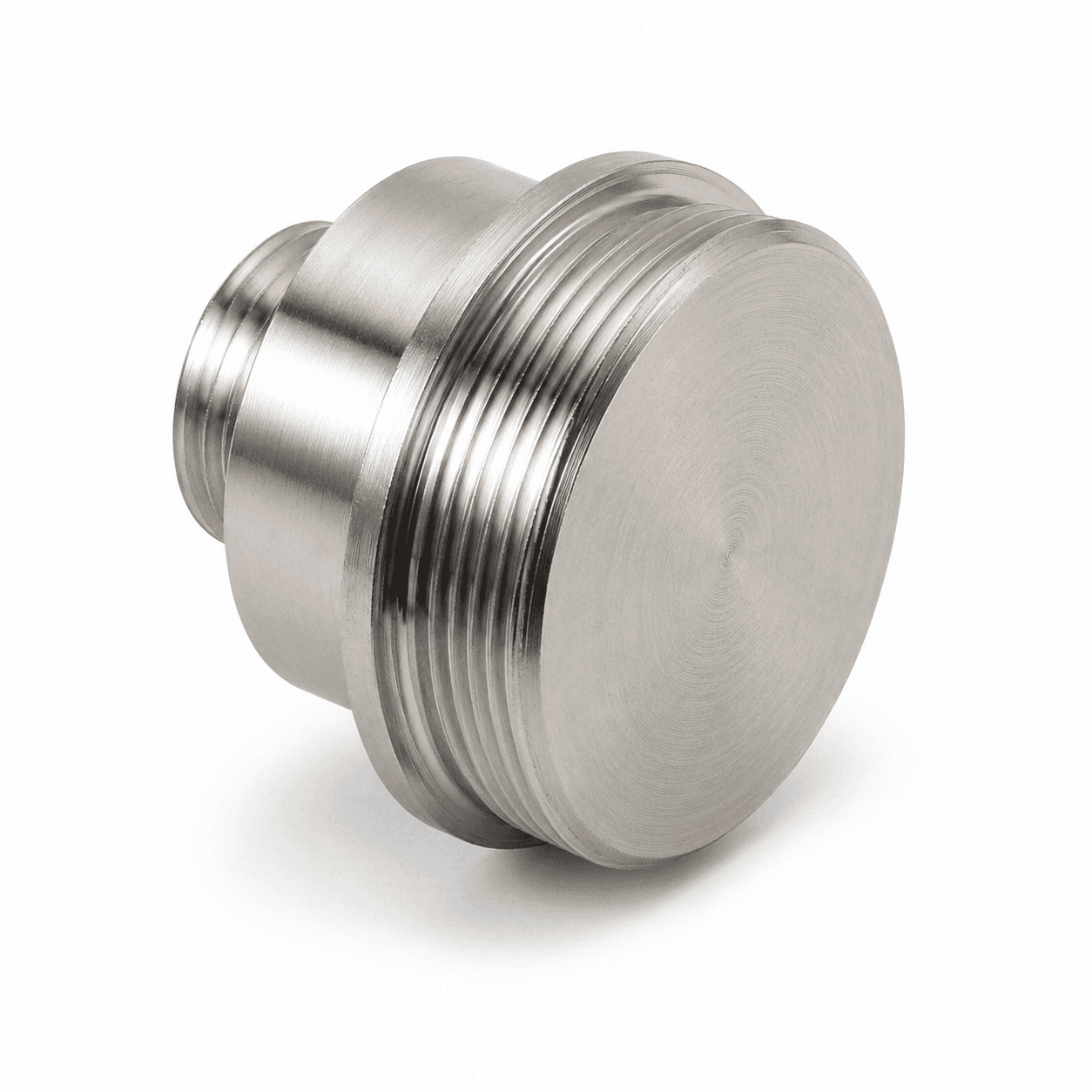 SS Large Threaded End Plug